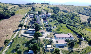 Il Bosco degli Angeli
